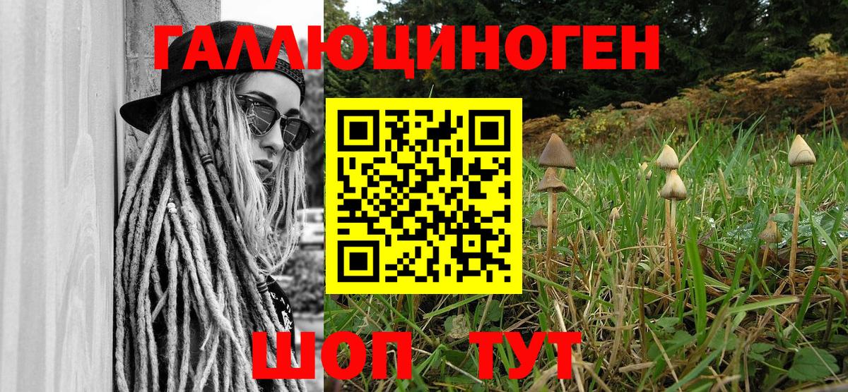 Севастополь  Галлюциногенные грибы мухоморы  Галлюциногенные грибы прущие грибы  Вход с VPN 