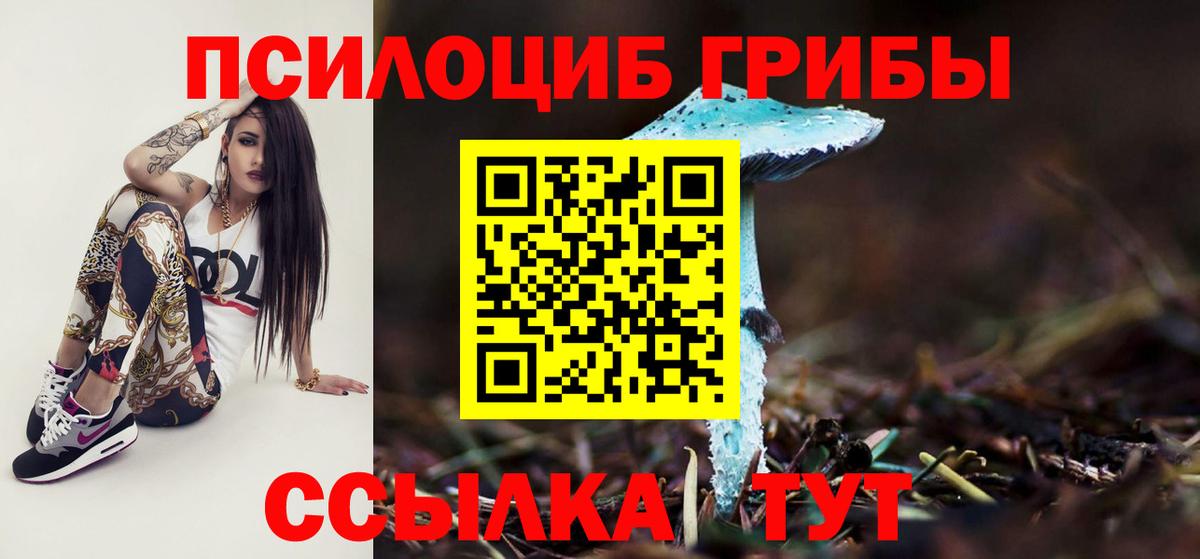 Псилоцибиновые грибы Cubensis Севастополь